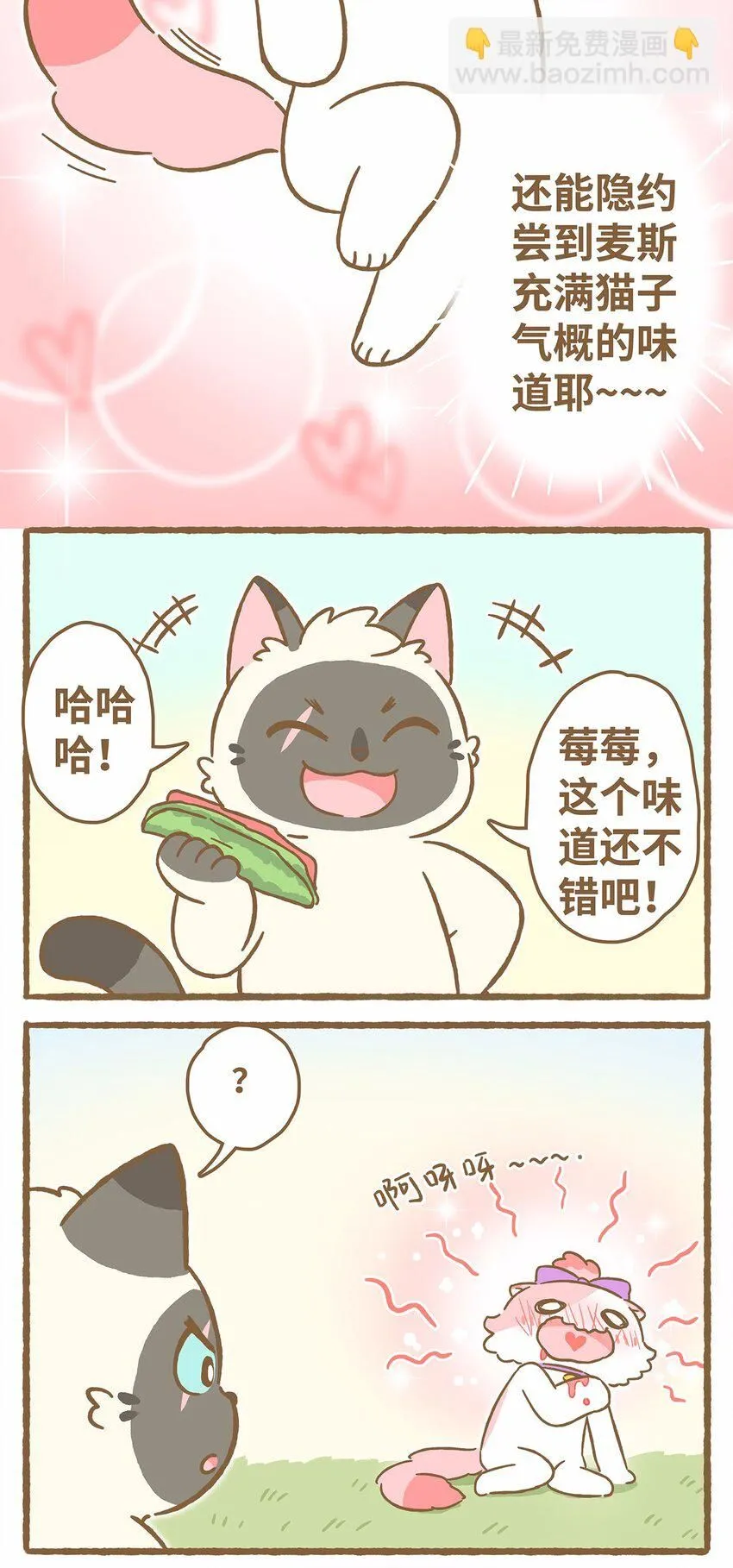 44 第44话 西瓜块VS西瓜汁 第13页