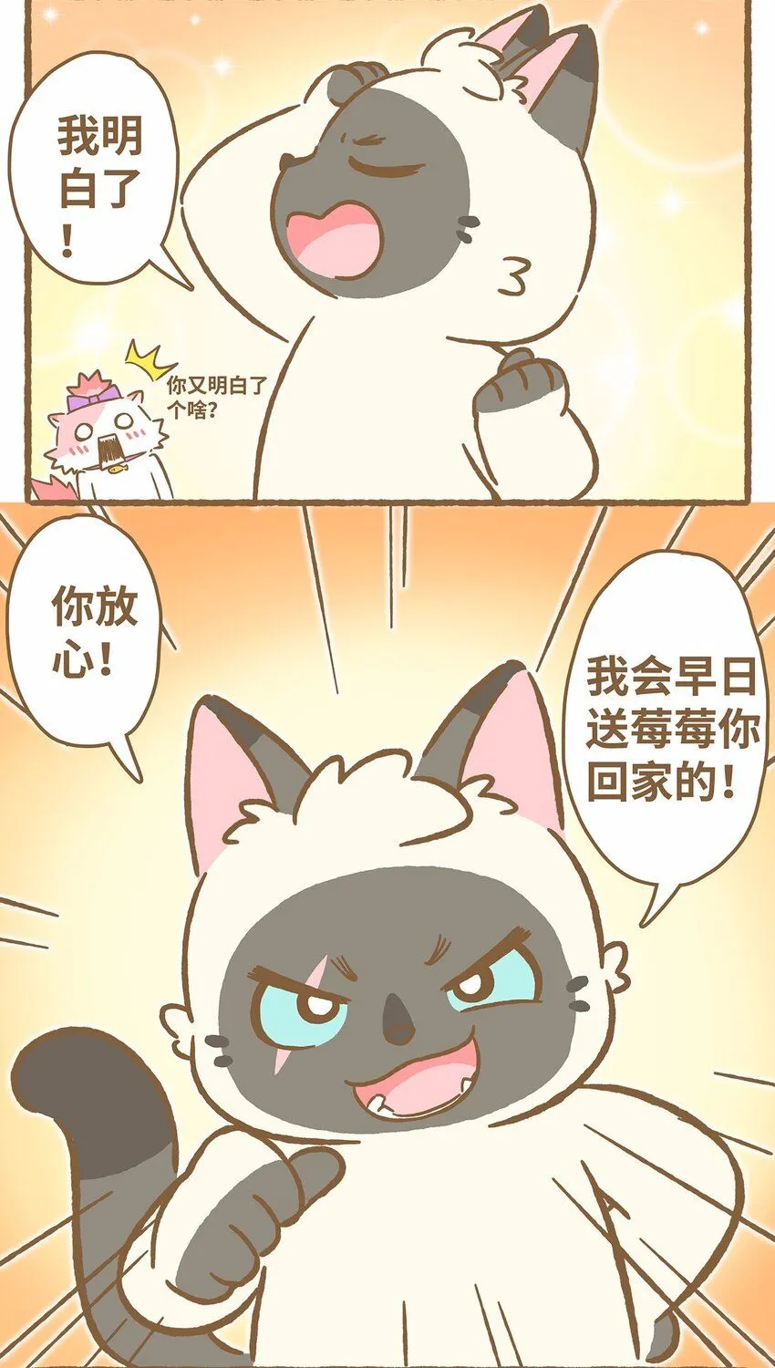 44 第44话 西瓜块VS西瓜汁 第17页