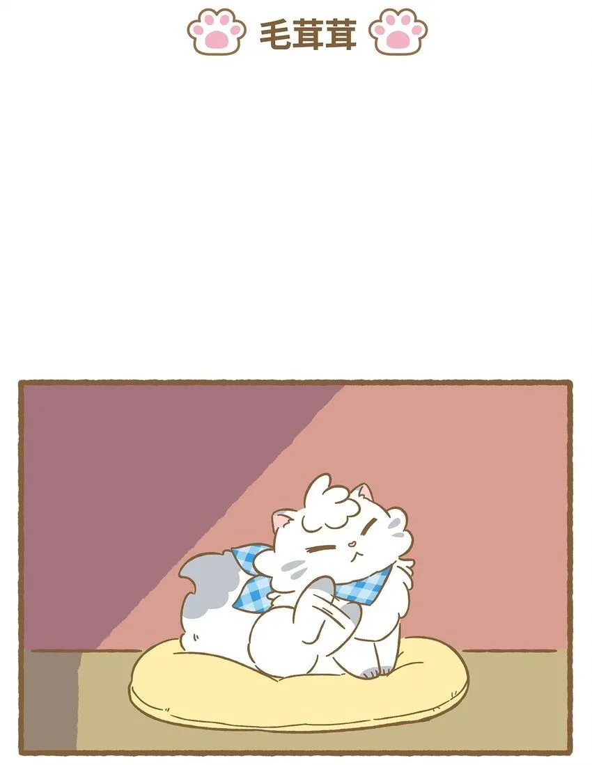 42 第42话 毛茸茸 第2页