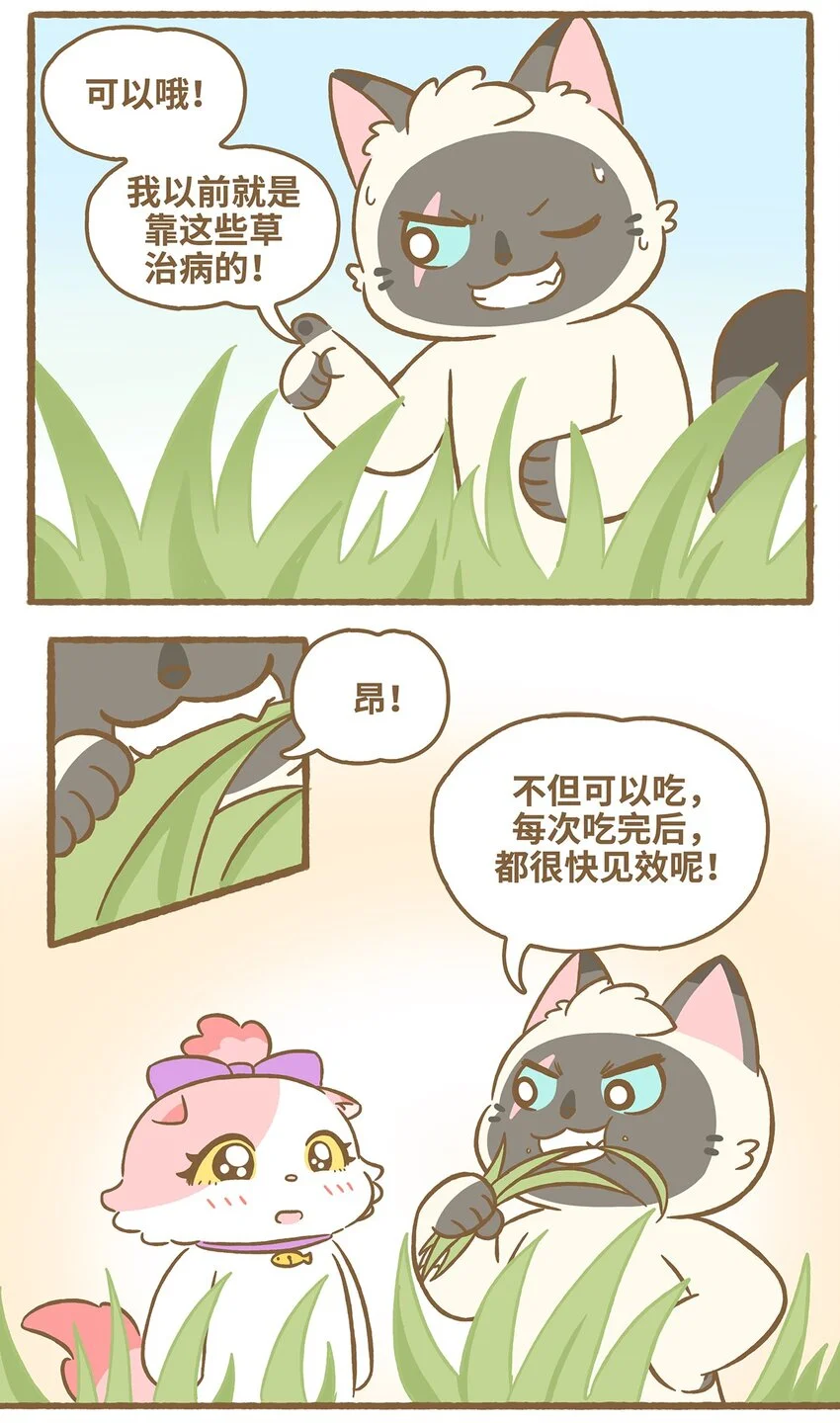 57 第57话 治疗草 第3页