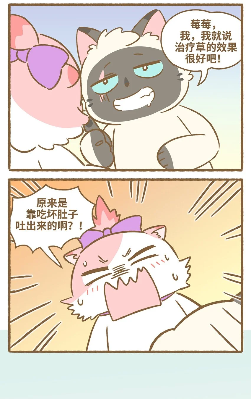 57 第57话 治疗草 第13页