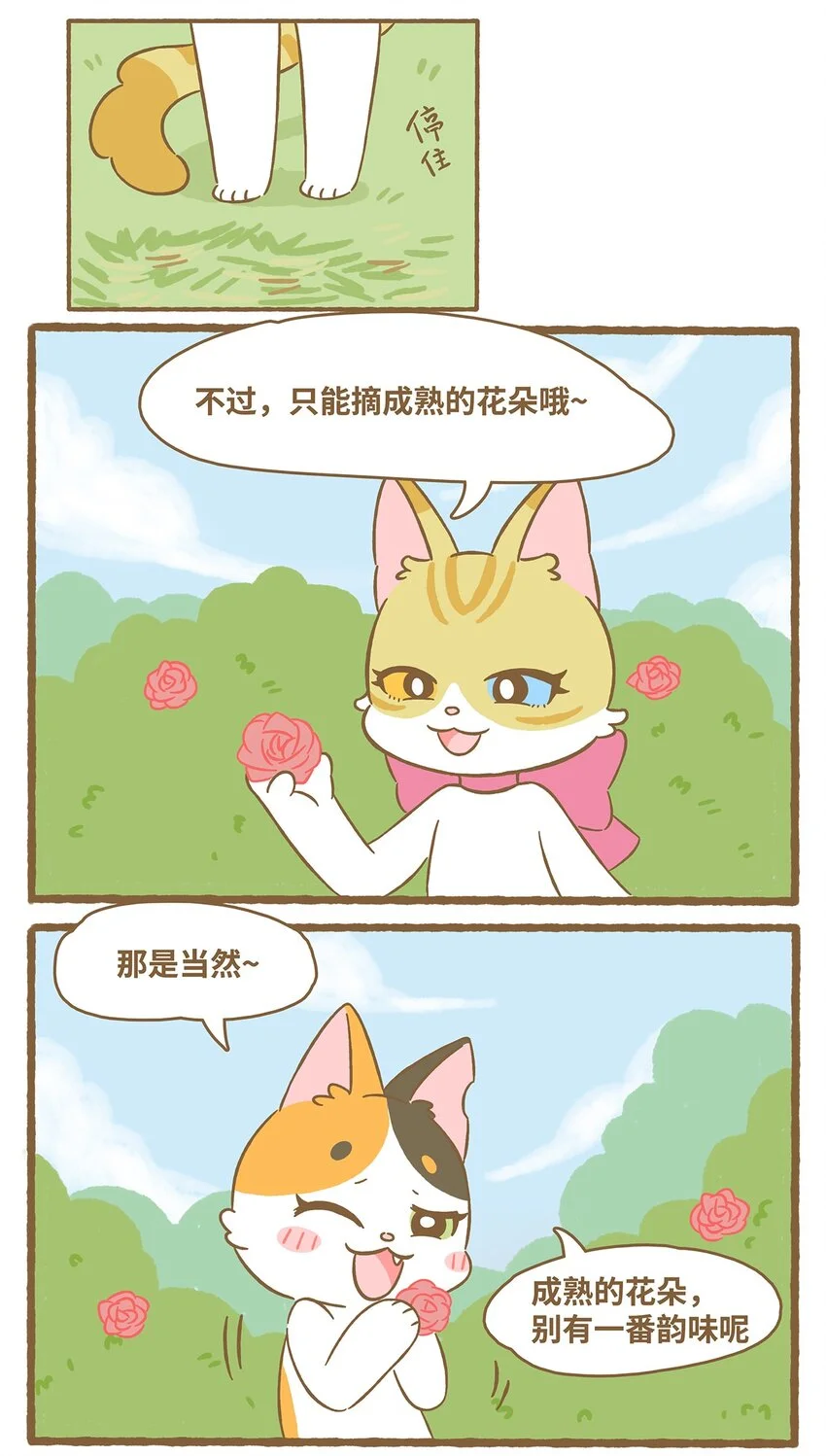61 第61话 陷阱 第11页