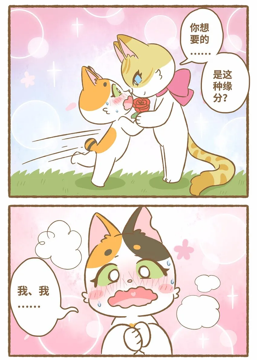 50 第50话 琪妙的相遇 第11页