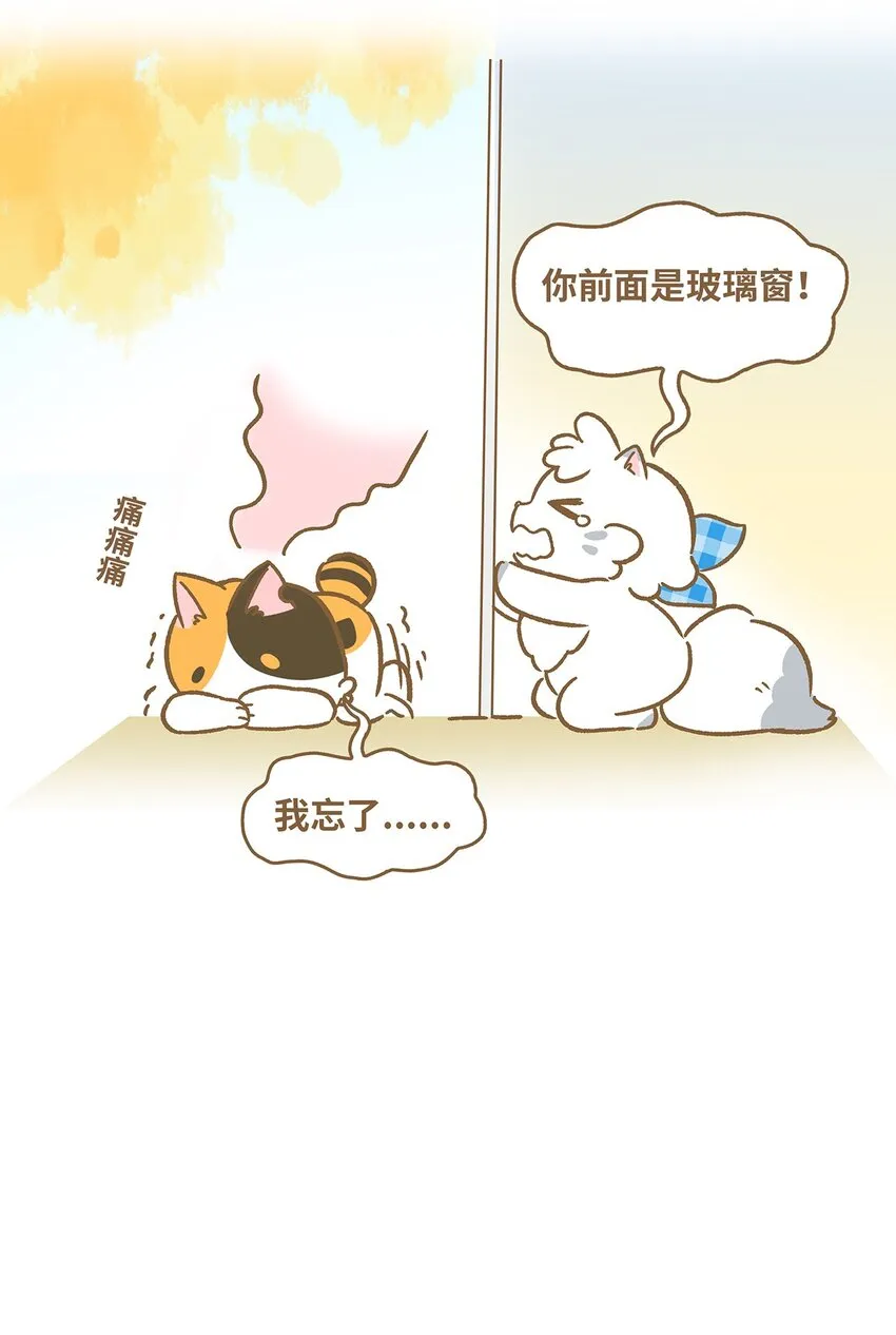 36 第36话 第17页