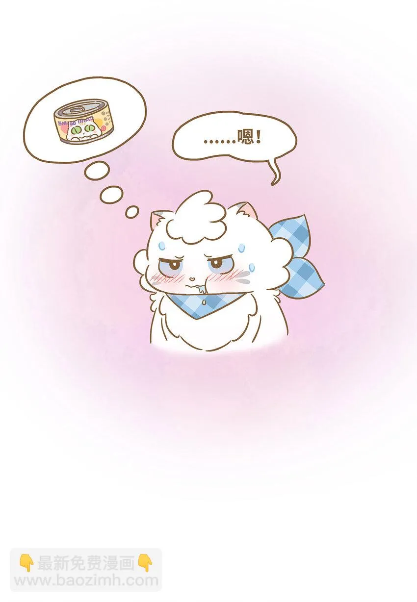 76 第76话 魔術貼 第17页