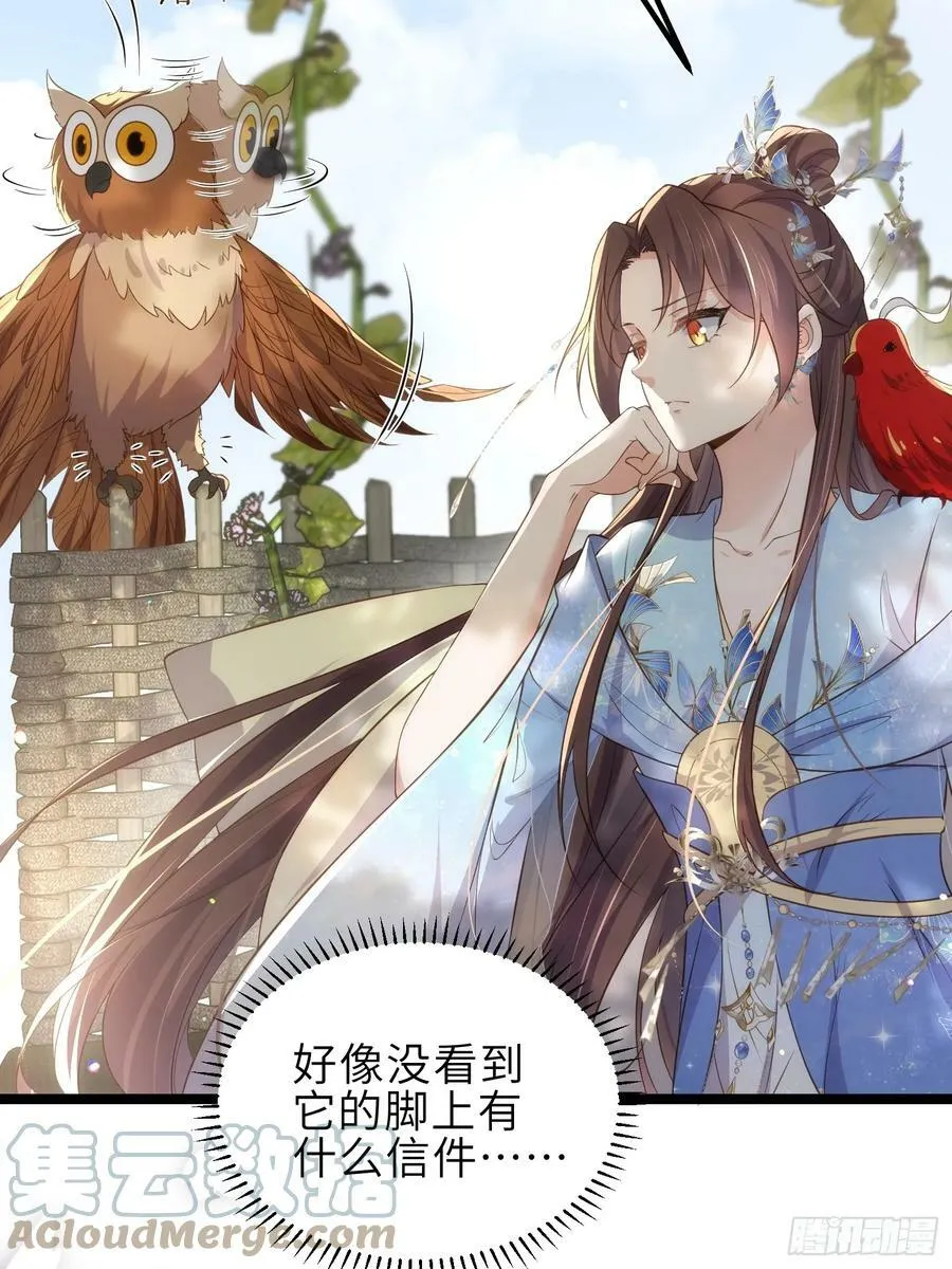 第332话 你想回西狄吗 第7页