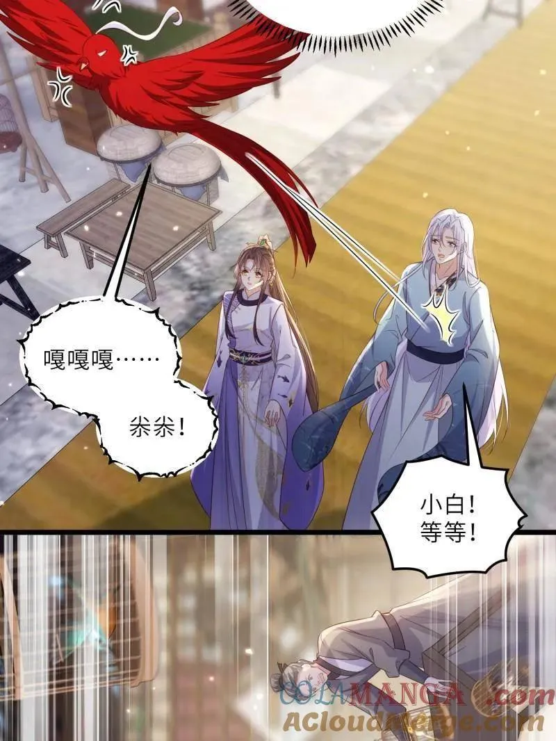 第401话 百里赫云离开 第37页