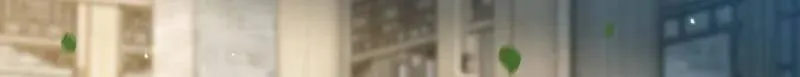 第408话 白起求婚白珍 第15页