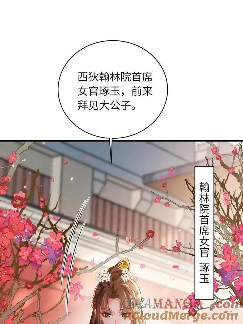 第441话 白玉归来 第29页