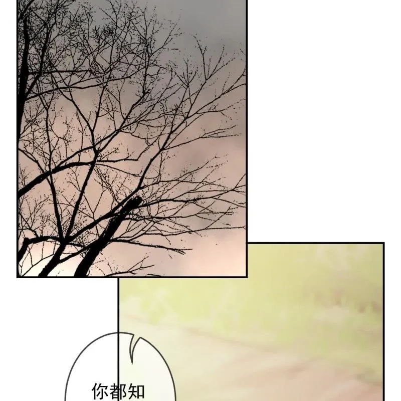 第235话 归隐 第3页