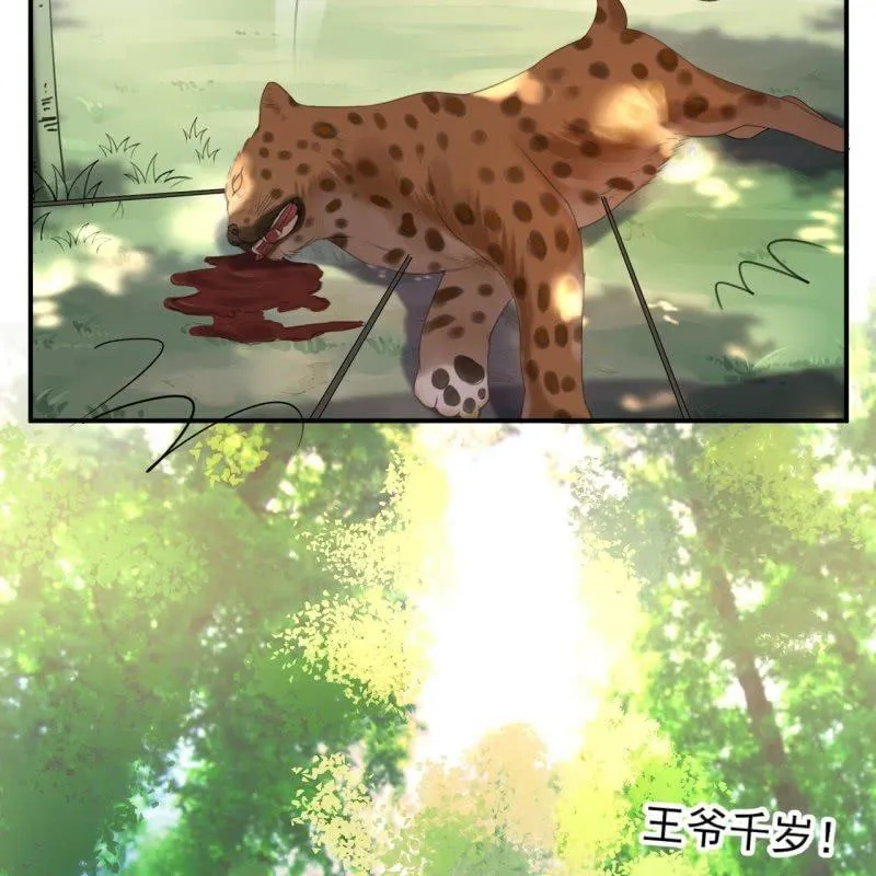 第119话 暗箭难防 第19页