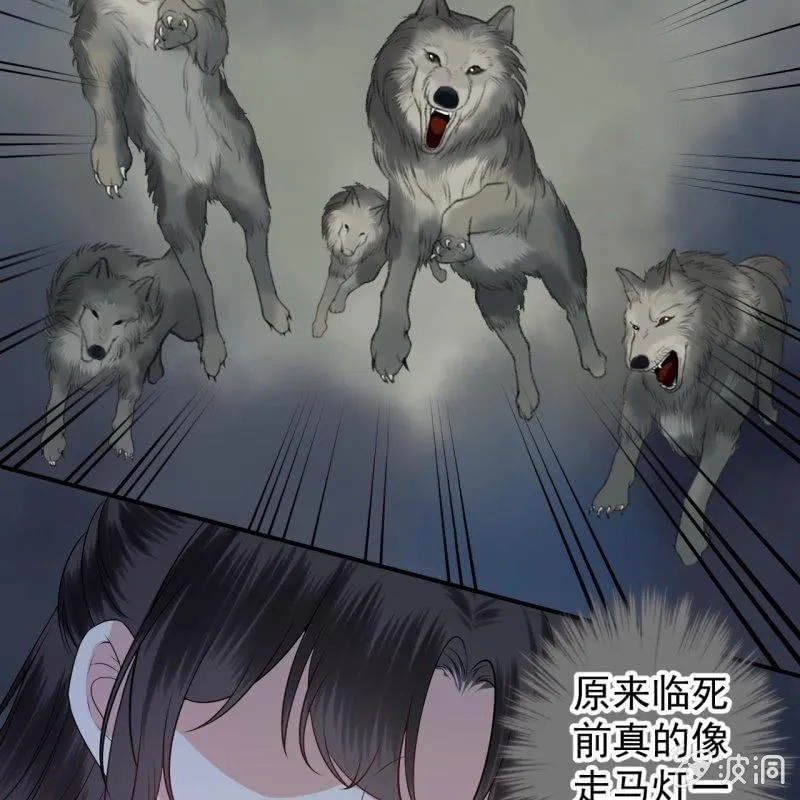 第124话 狼来了 第17页