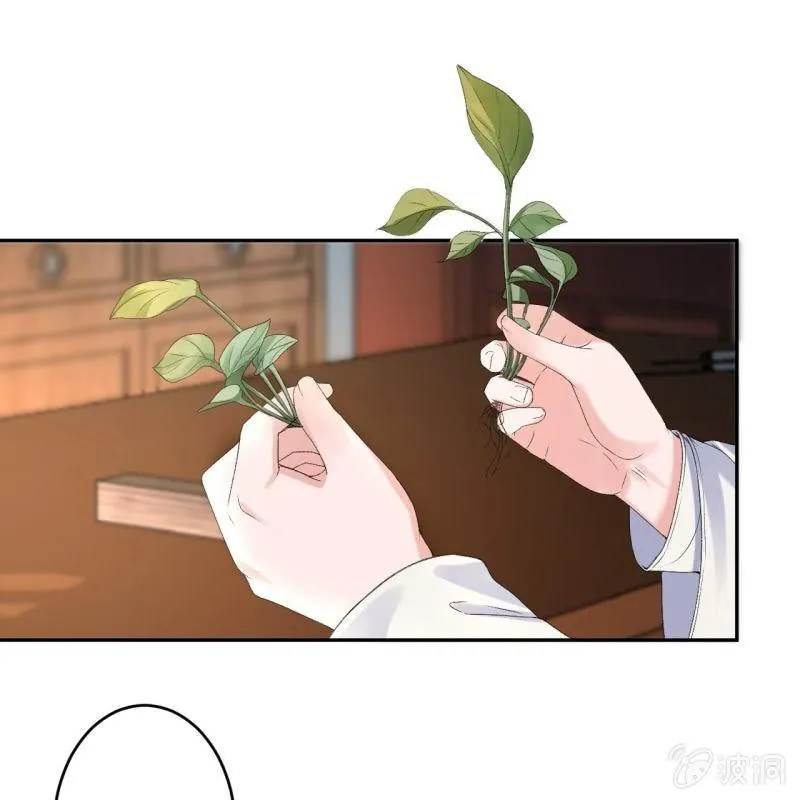第160话 辨认药草 第41页