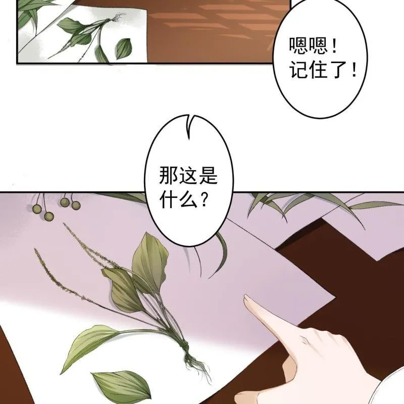 第160话 辨认药草 第43页
