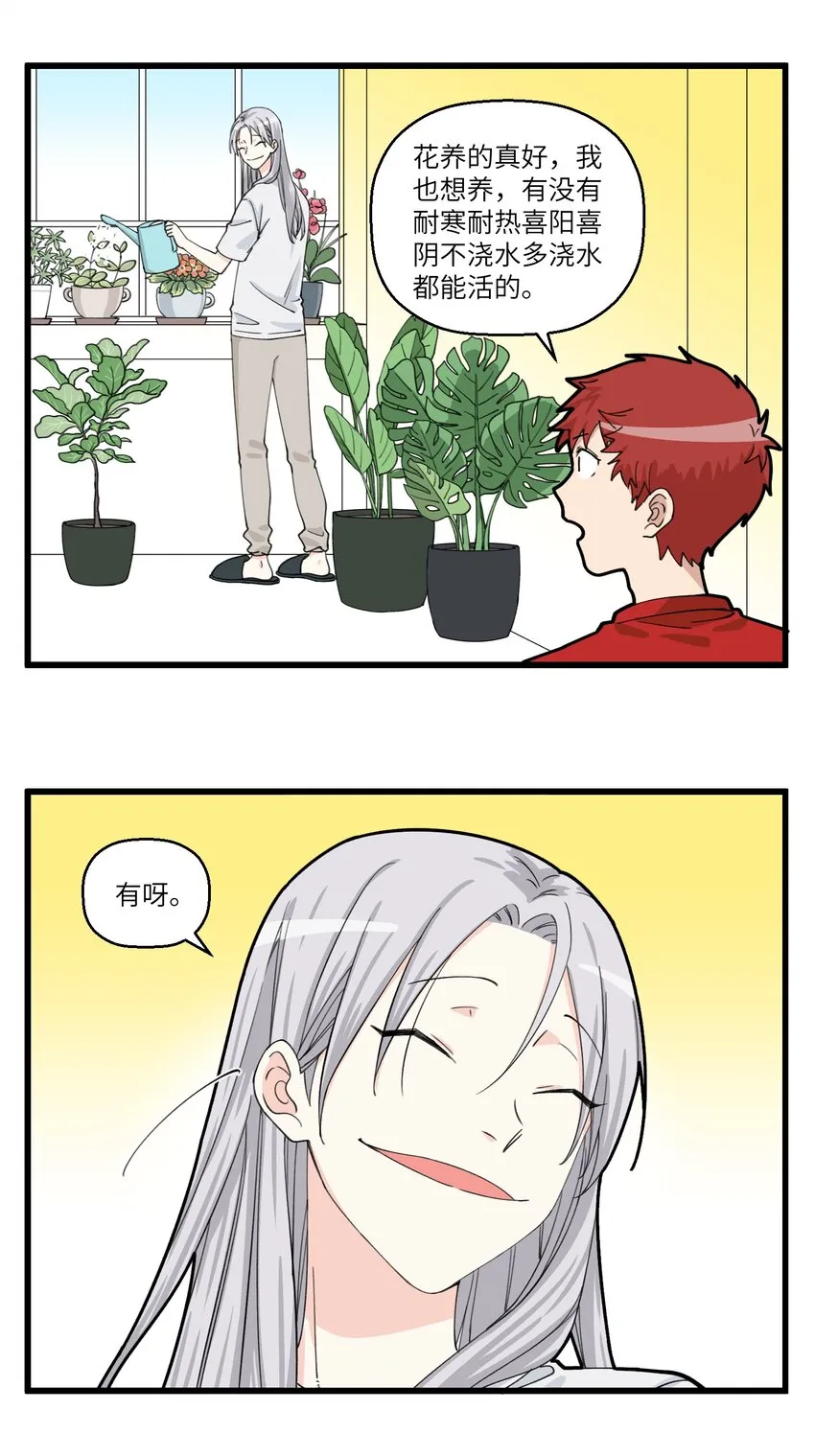 077 植物杀手最适合养什么 第2页