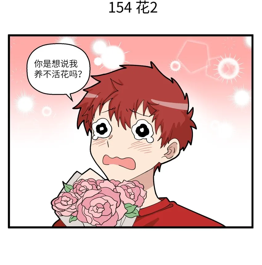 077 植物杀手最适合养什么 第4页