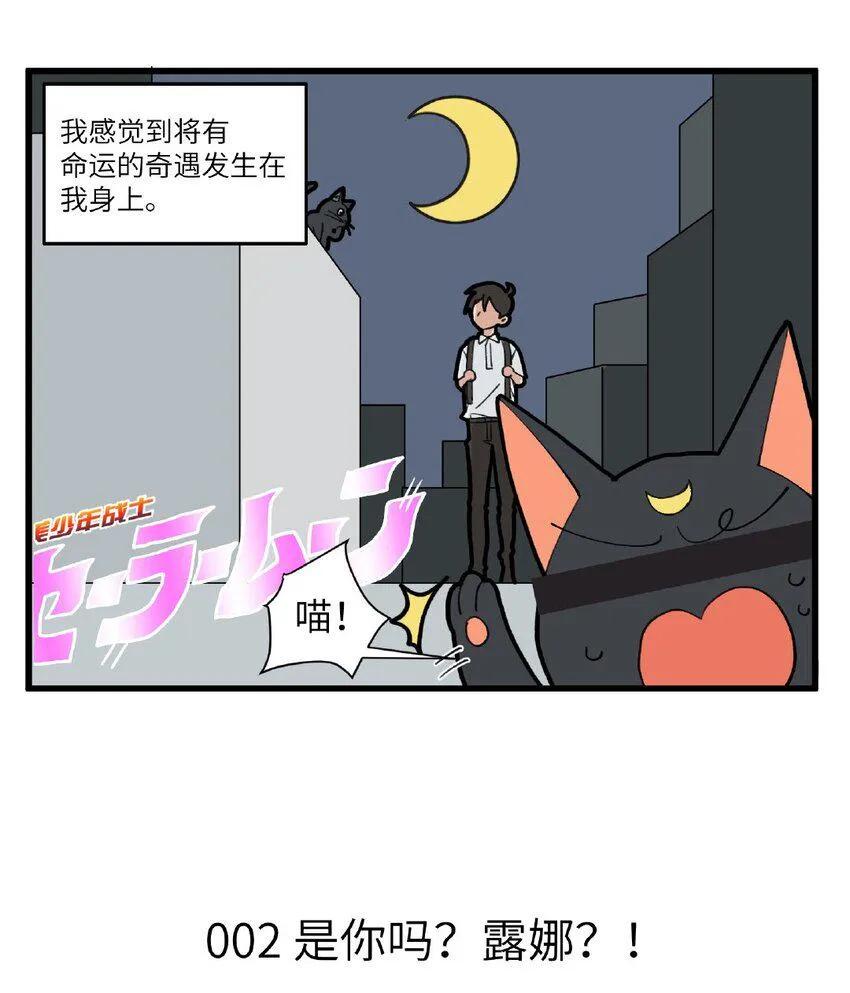 001 黑猫与少年 第3页