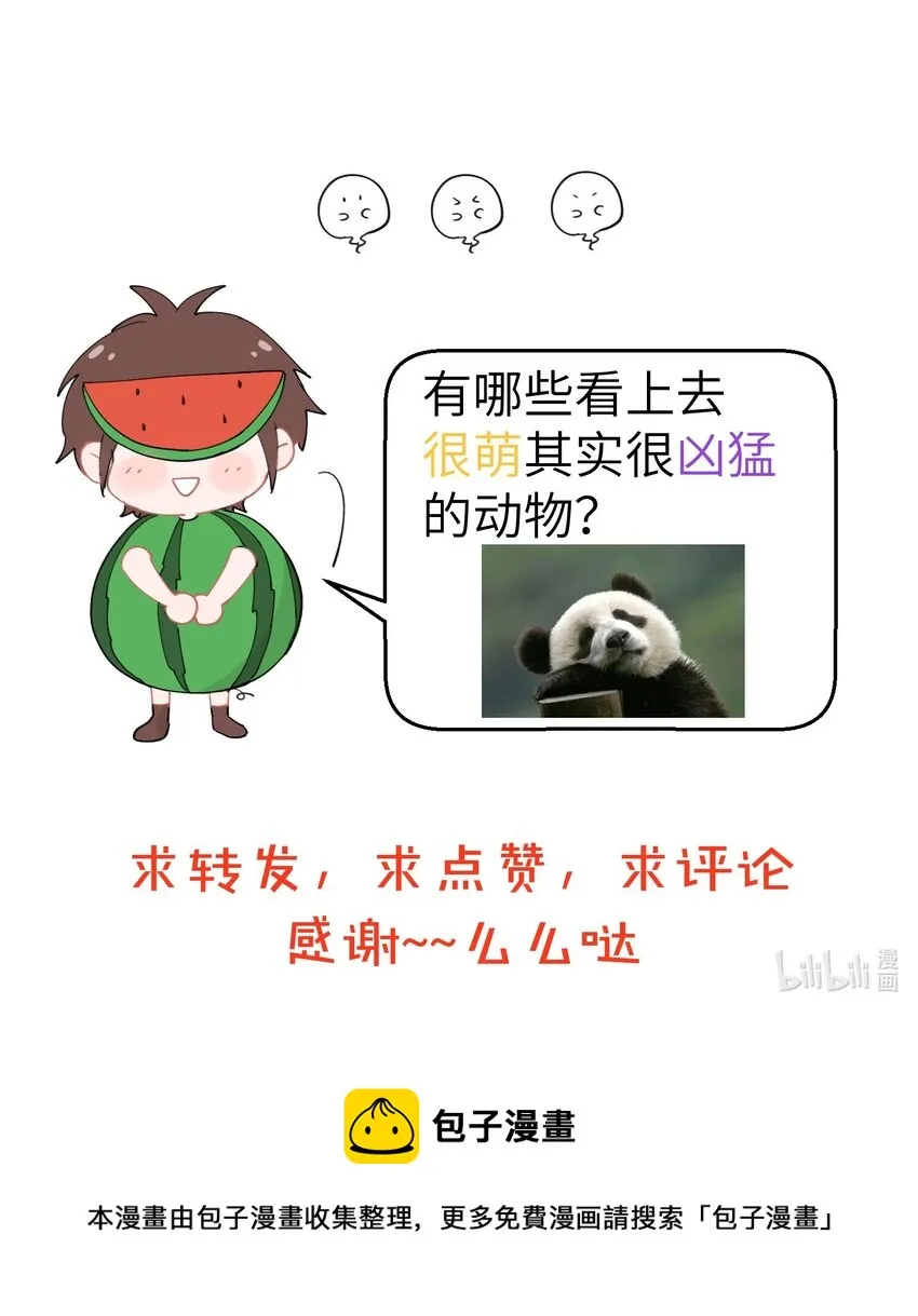 040 躺平在食物链的底端 第6页
