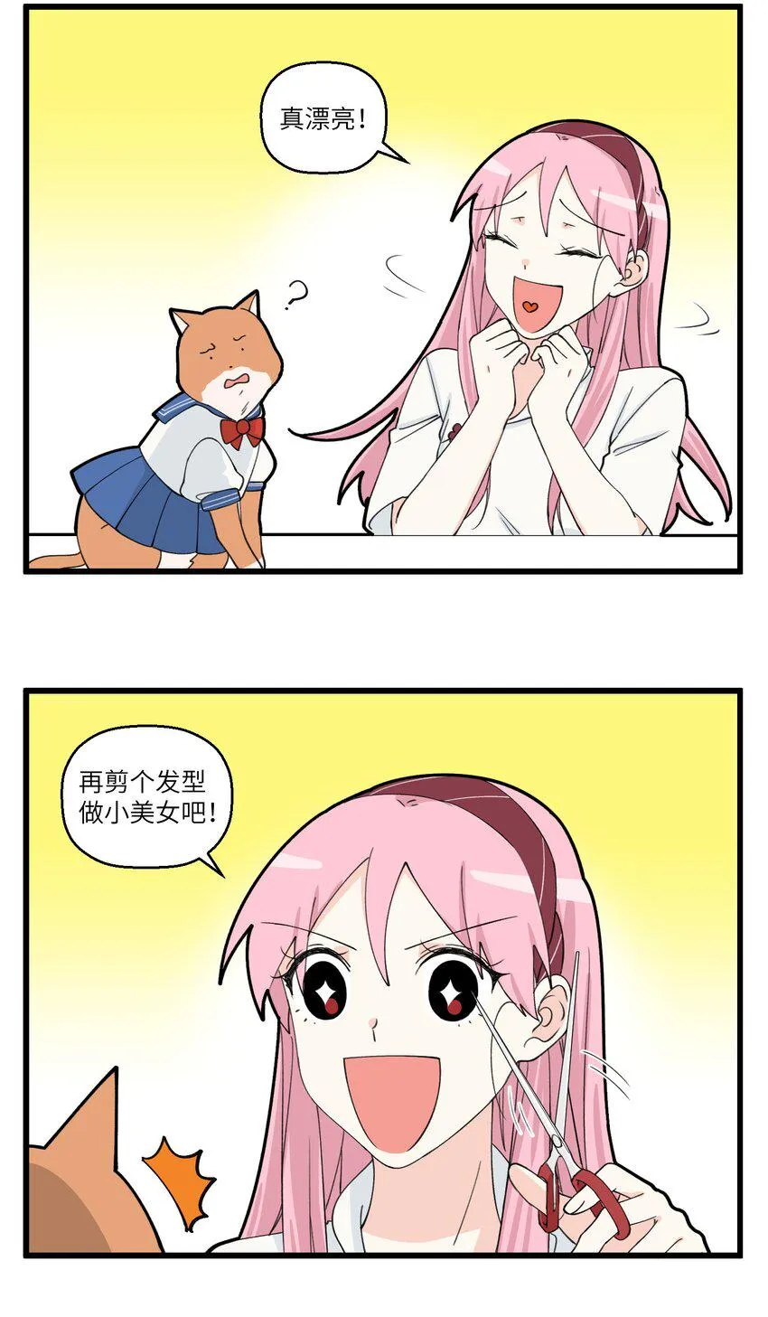063 野猫太粘人了怎么办？ 第5页