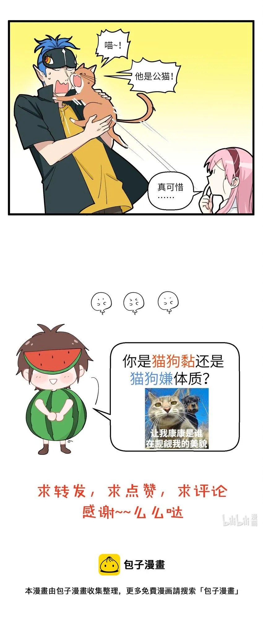 063 野猫太粘人了怎么办？ 第6页