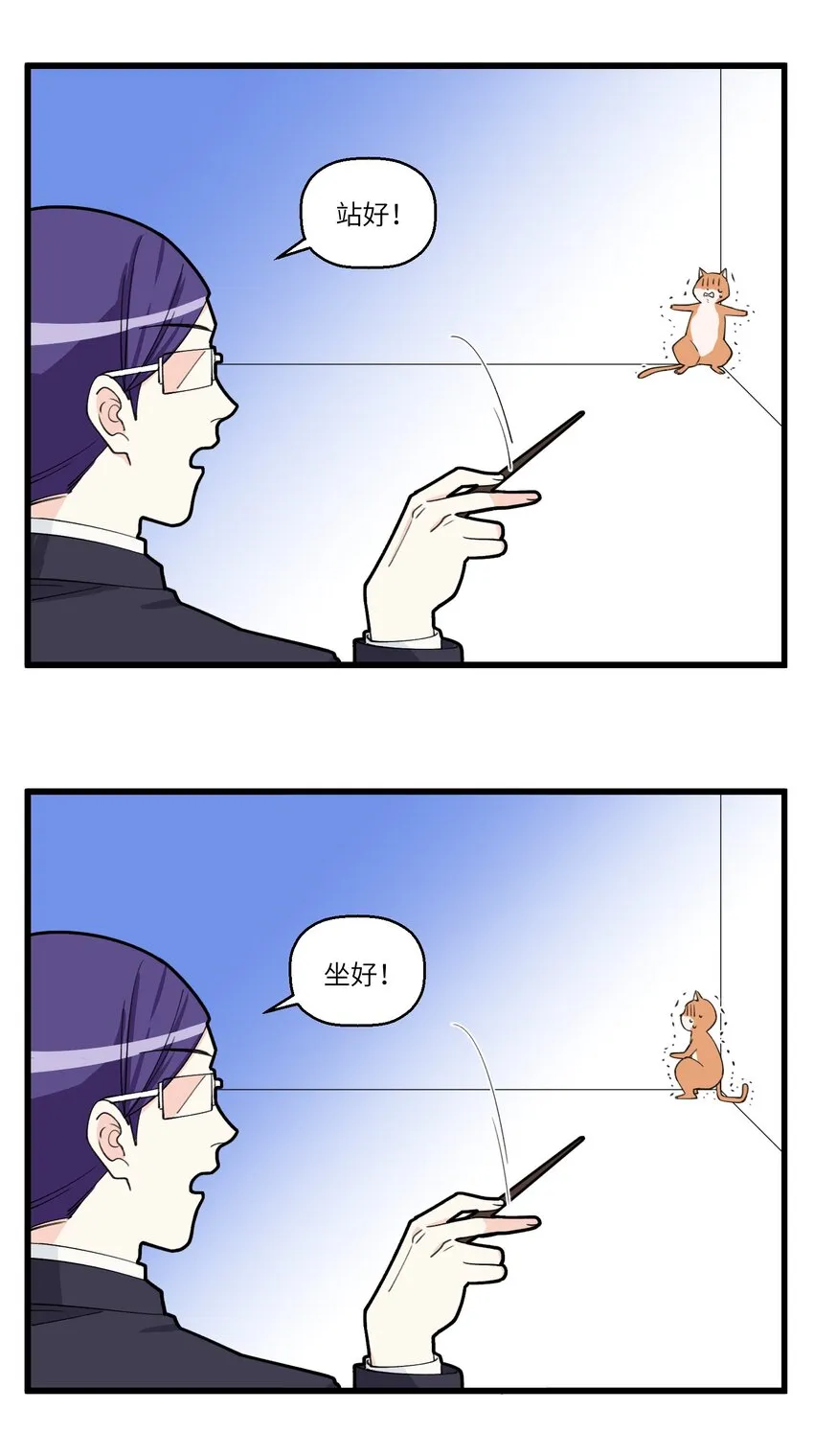 064 马面有猫了！ 第2页
