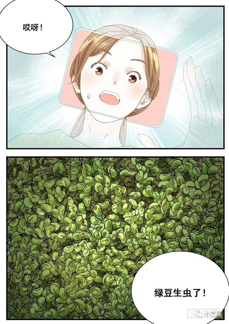 绿豆虫 第2页