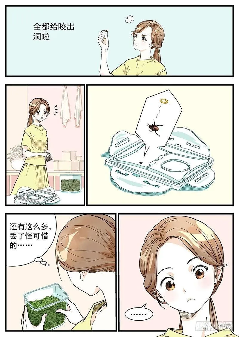 绿豆虫 第3页