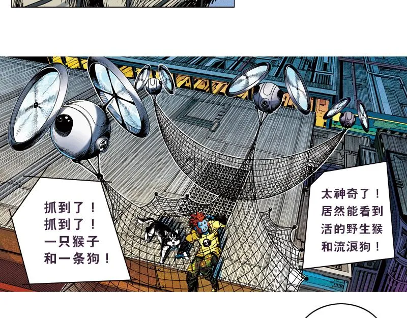 第四章：猴子就该关进动物园 第17页