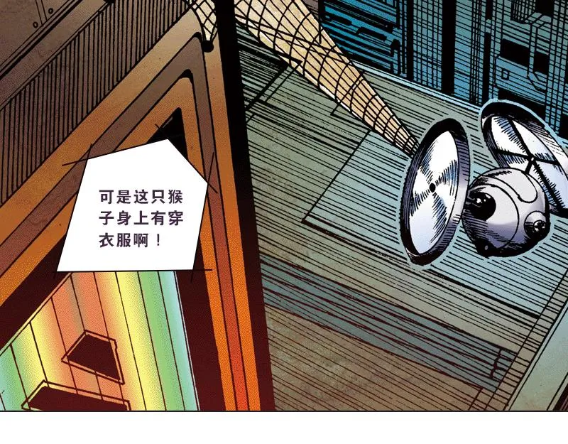 第四章：猴子就该关进动物园 第21页
