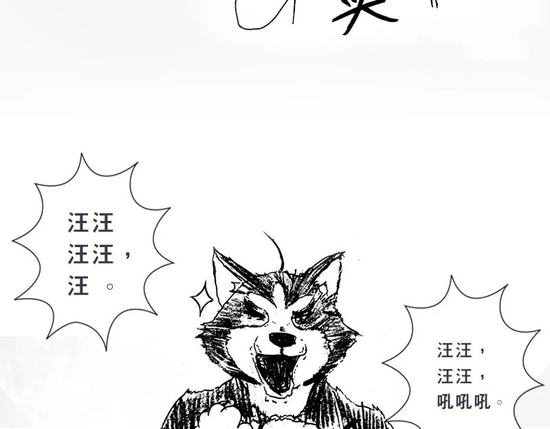 开局：两只猿一头狗 第145页