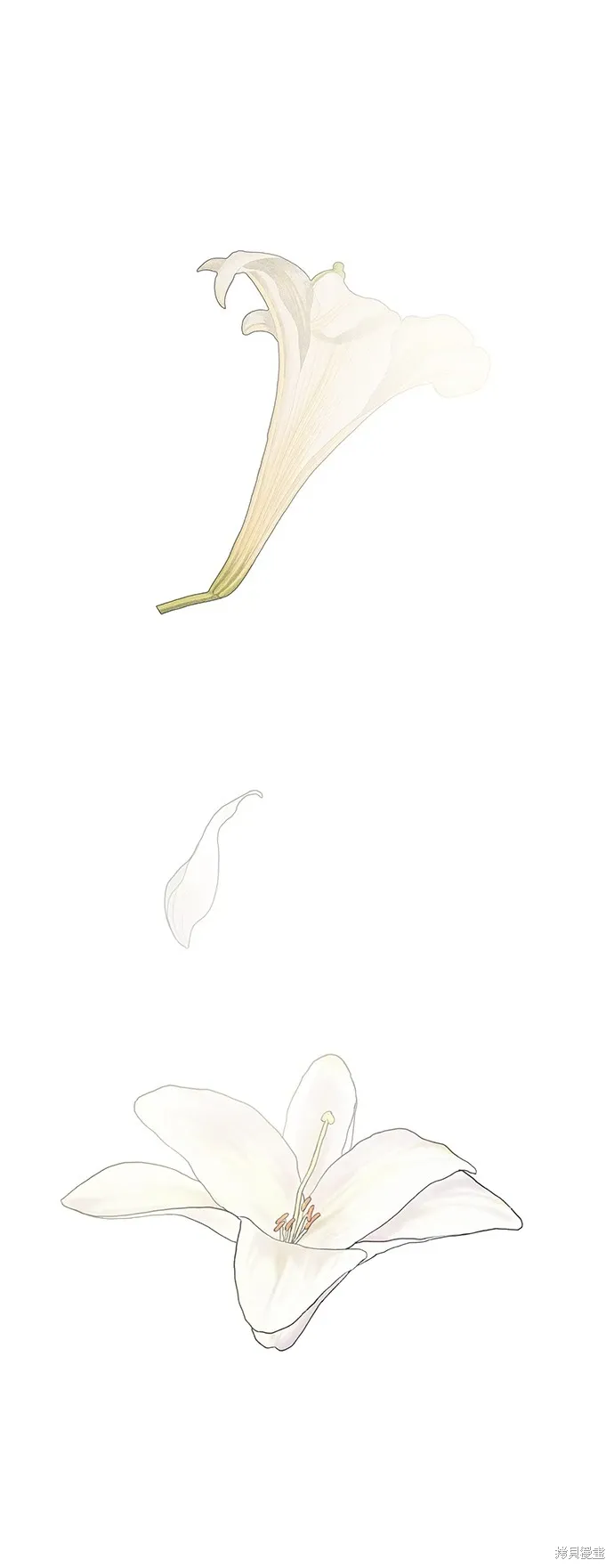 第102话 第2页