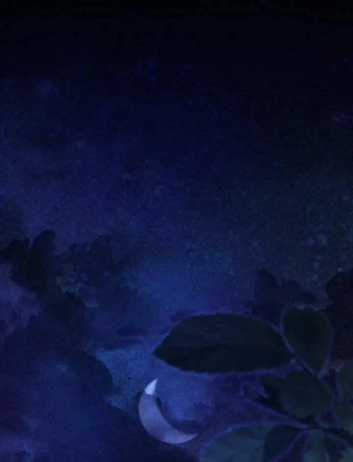 第137话 第5页