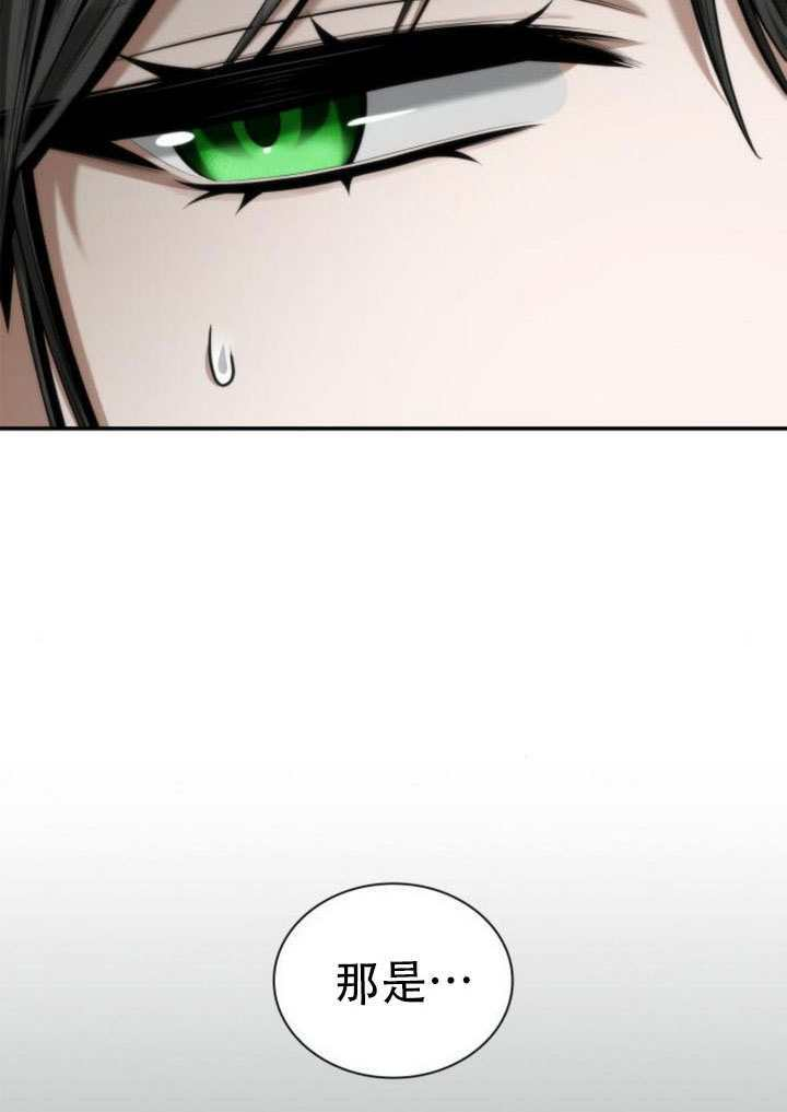 第166话 第31页