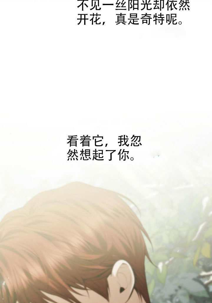 第177话 第50页