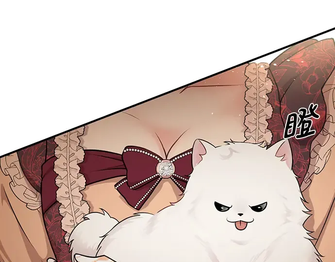 第5话 你说过我是你的初度体验吧? 第332页