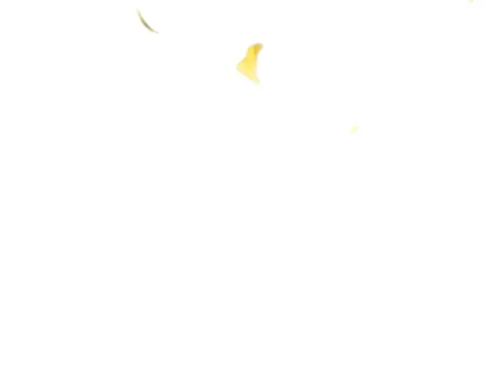 第16话 王的回忆 第197页