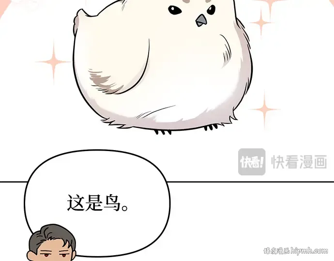 第22话 幼鸟 第192页