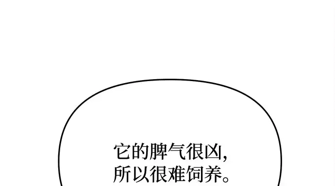 第22话 幼鸟 第213页