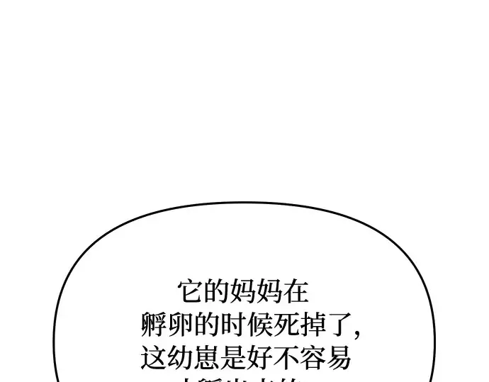 第22话 幼鸟 第235页