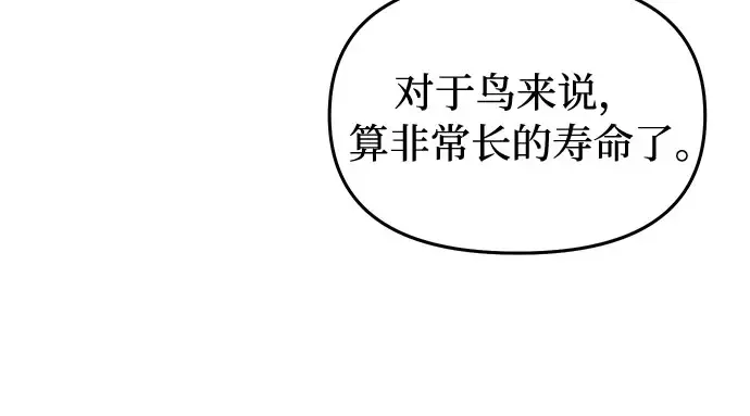 第22话 幼鸟 第275页
