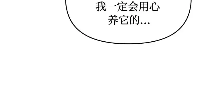 第22话 幼鸟 第283页