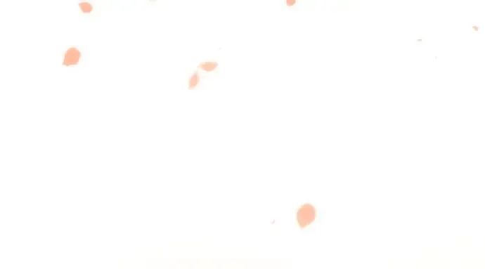 第37话 可怜的侮辱（4） 第244页