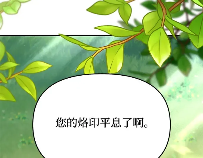 第41话 自己的人生自己把握 第165页