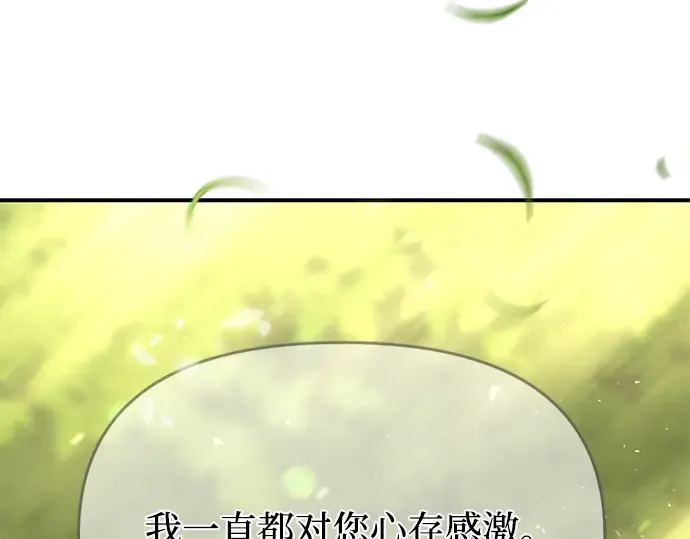 第41话 自己的人生自己把握 第221页