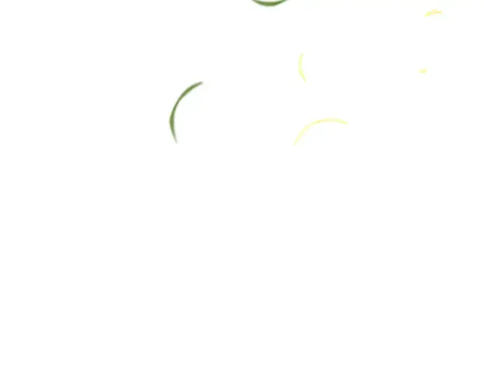 第41话 自己的人生自己把握 第226页