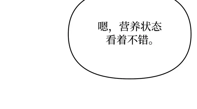 第44话 荷鲁斯的训练 第34页