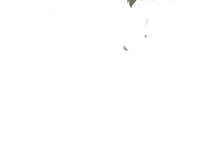 第50话 黄金乌鸦的搭档 第7页