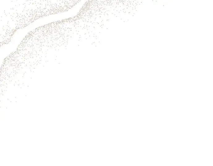第51话 黄金乌鸦的搭档（2） 第374页