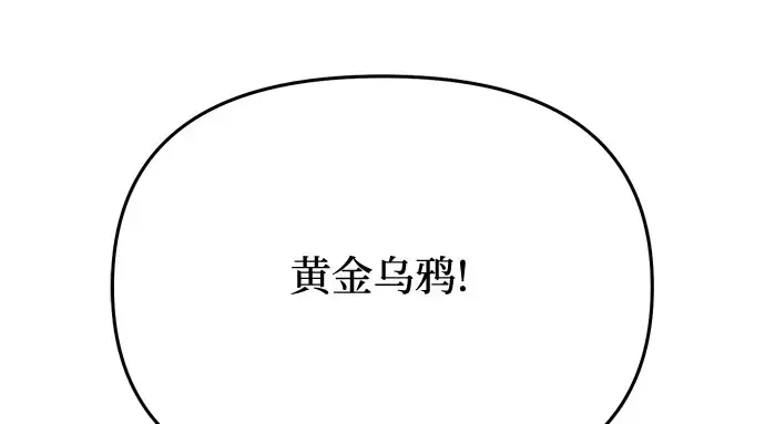 第52话 黄金乌鸦的搭档（3） 第181页