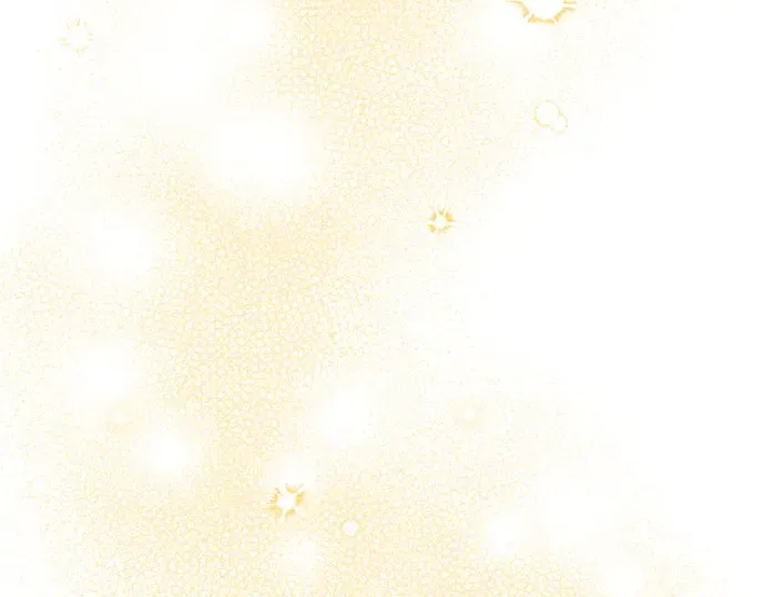 第53话 夕阳 第255页